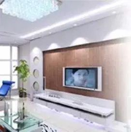 Independent Personal Computer With high-end hardware, can be used as an independent computer; also can be used as a parlour pc connecting the TV Set to watch video, surf the internet.