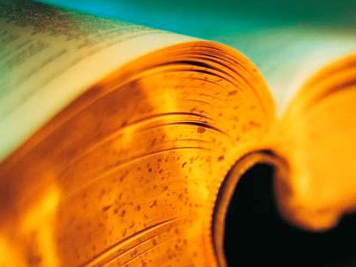 Словарь основных терминов автоматизатора