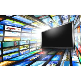 Installation and configuration of Polish plugins for watching TV online | polska-wtyczka-online-tv | | VenSYS online Store