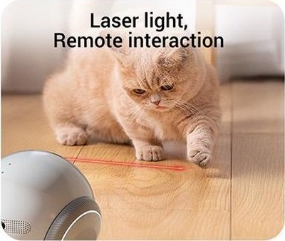 Smart Pet Companion Robot PCR03 | Laser light. Remote interaction