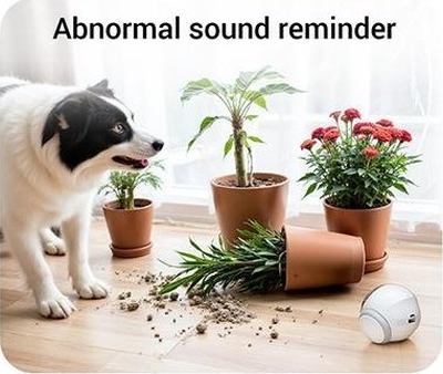 Smart Pet Companion Robot PCR03 | Abnormal sound reminder
